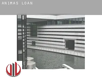 Animas  loan