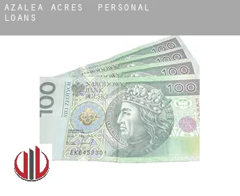 Azalea Acres  personal loans