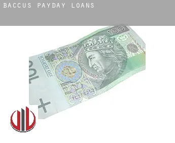 Baccus  payday loans