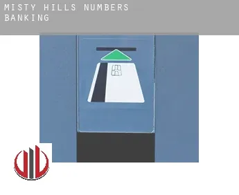 Misty Hills Numbers 1-7  banking