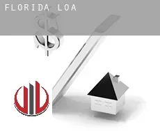 Florida loan