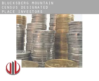 Blucksberg Mountain  investors