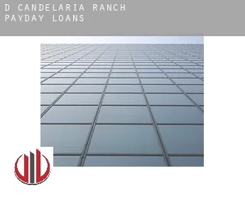 D Candelaria Ranch  payday loans
