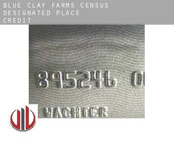 Blue Clay Farms  credit