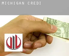 Michigan credit