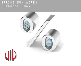 Spring Run Acres  personal loans