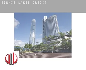 Binnie Lakes  credit