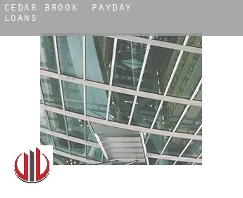 Cedar Brook  payday loans