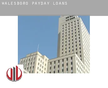 Walesboro  payday loans