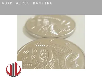 Adam Acres  banking