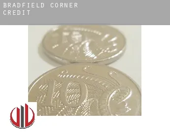 Bradfield Corner  credit