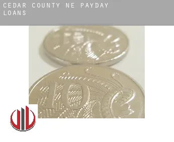 Cedar County  payday loans