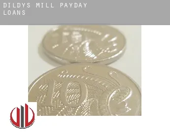 Dildys Mill  payday loans