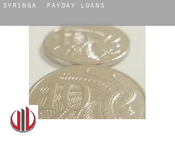 Syringa  payday loans