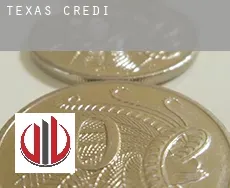 Texas credit