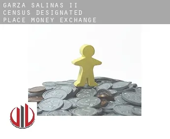 Garza-Salinas II  money exchange
