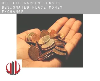 Old Fig Garden  money exchange