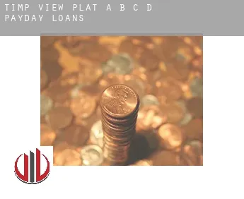 Timp View Plat A,B,C,D payday loans