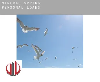 Mineral Spring  personal loans
