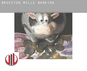 Bruceton Mills  banking