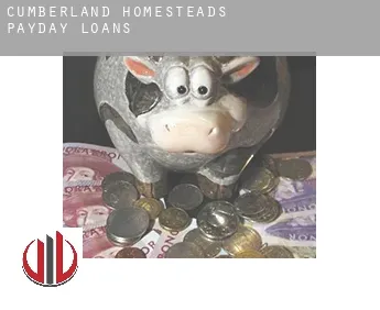 Cumberland Homesteads  payday loans