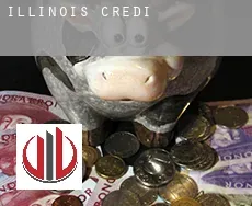Illinois credit