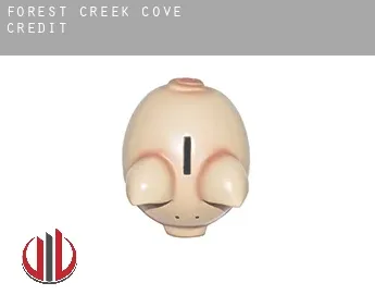 Forest Creek Cove  credit