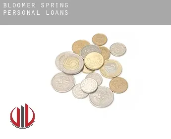 Bloomer Spring  personal loans
