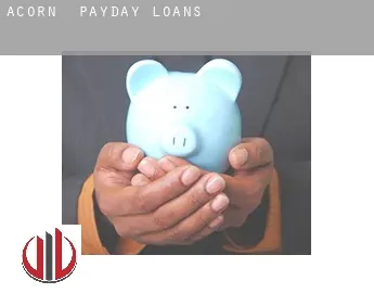 Acorn  payday loans
