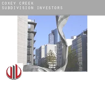 Coxey Creek Subdivision  investors