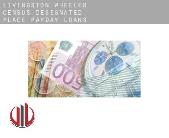 Livingston Wheeler  payday loans