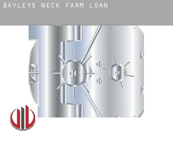 Bayleys Neck Farm  loan