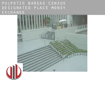 Pulpotio Bareas  money exchange