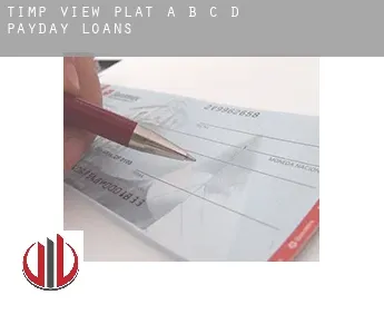 Timp View Plat A,B,C,D  payday loans