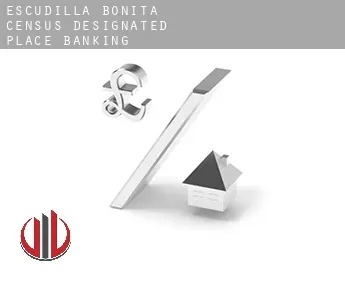 Escudilla Bonita  banking
