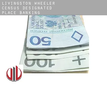 Livingston Wheeler  banking